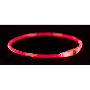 Collier éclairant Flash 65 cm rouge pour chien 3 pièces