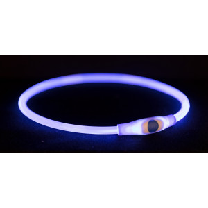 Collier éclairant Flash bleu pour chien 3 pièces