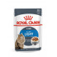 Royal Canin Light Weight Care en sauce pâtée pour chat (85 g)