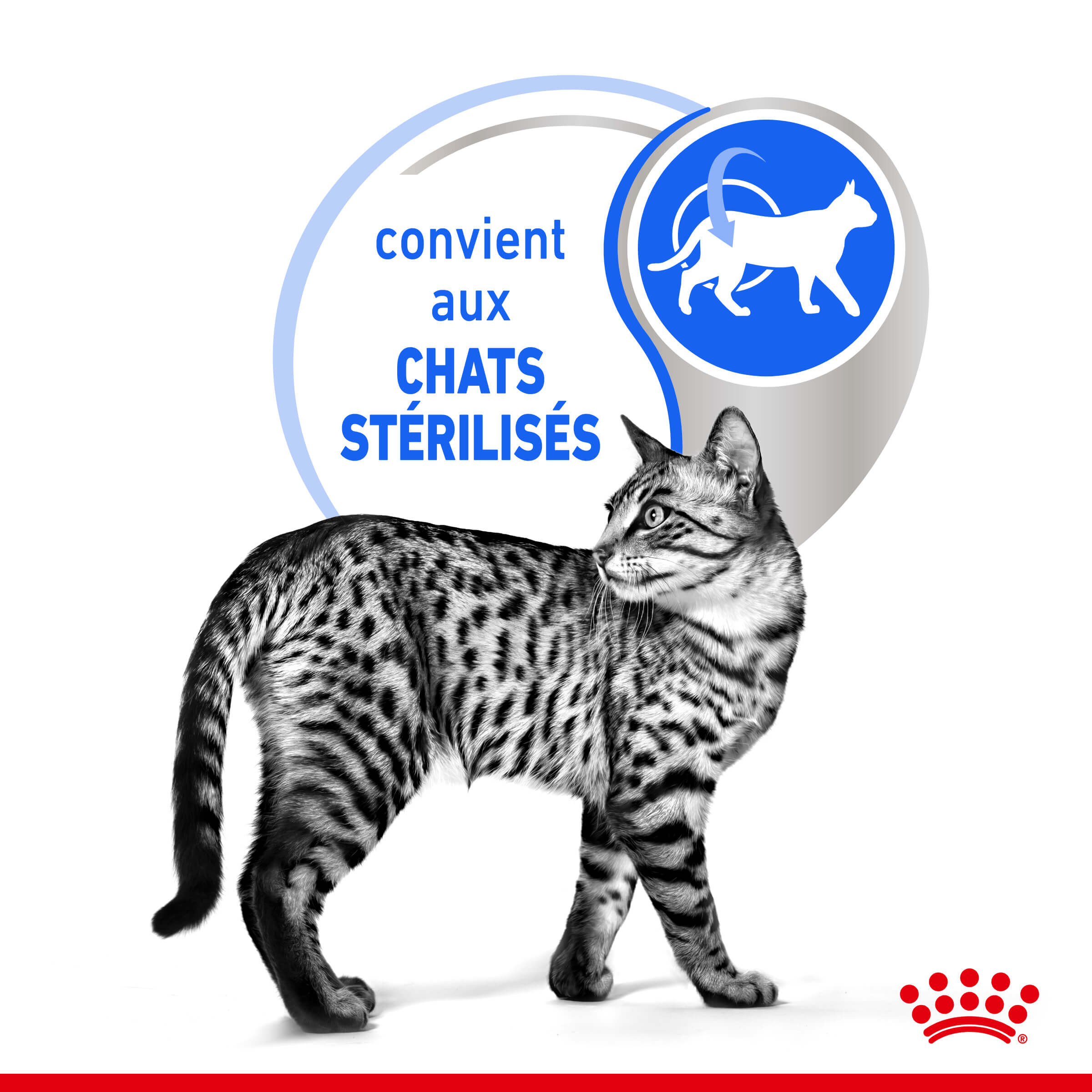 Royal Canin Indoor Sterilised in Jelly kattenvoer x12