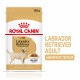 Royal Canin Adult Labrador Retriever pâtée pour chien 140 g