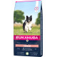 Eukanuba Senior Small Medium à l'agneau & riz pour chien