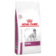 Royal Canin Veterinary Diet Renal pour Chien