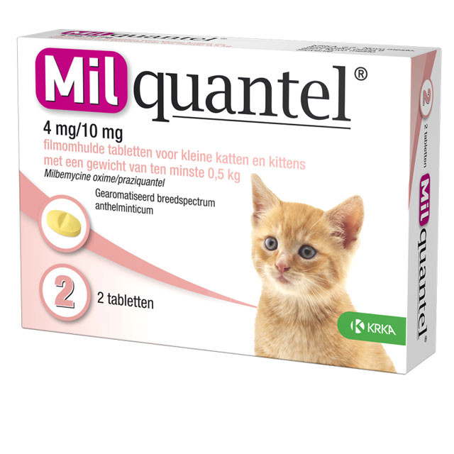 Milquantel Vermifuge Pour Chat