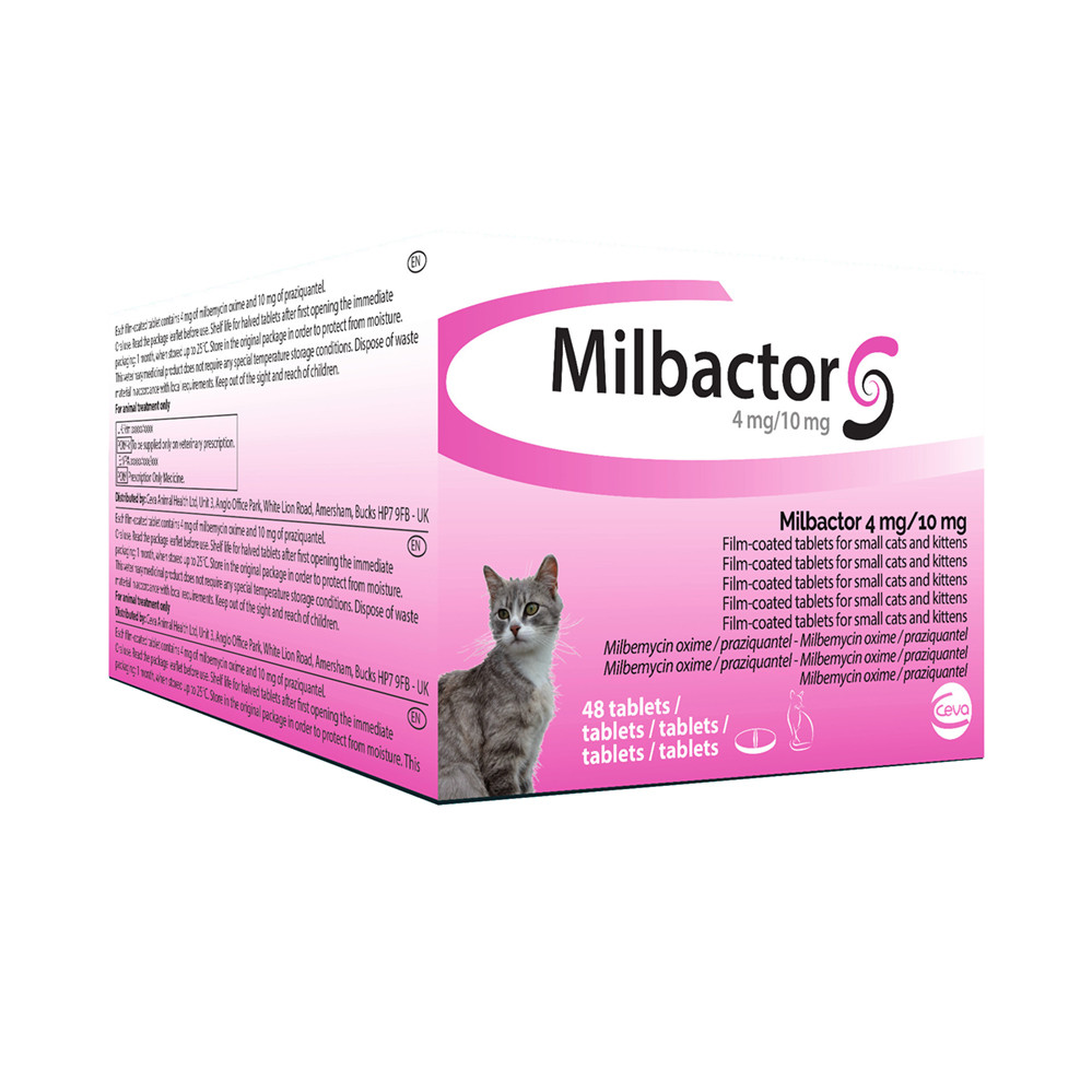 Milbactor Kitten