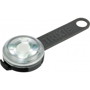 Flash USB pour chien Par 2 unités