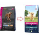 Eukanuba Adult Large Breed agneau riz pour chien