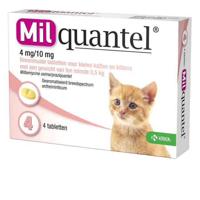 Milbactor Comprimes Pour Chat Brekz Fr
