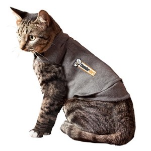 Nos Tranquillisants Poour Chats A Bas Prix Brekz Fr Nos Tranquillisants Poour Chats A Bas Prix Brekz Fr
