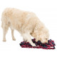 Trixie Activity Tapis pour chien et chat