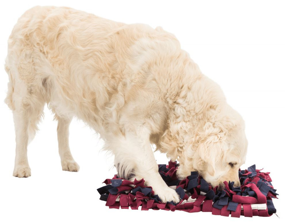 Trixie Activity Tapis pour chien et chat