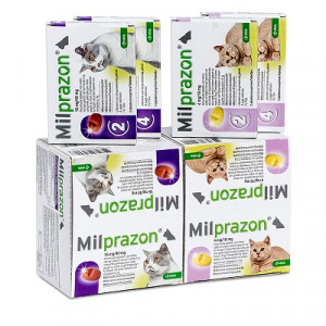Milprazon Vermifuge Pour Chat 2 8 Kg Brekz Fr