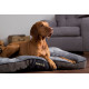 Scruffs Chester coussin pour chien