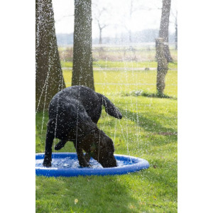 CoolPets Splash Pool Piscine Jets d'eau Une pièce