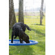 CoolPets Splash Pool Piscine Jets d'eau