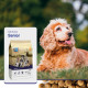 CaroCroc 18/10 Senior pour Chien, au poulet