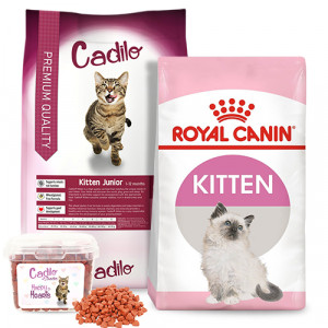 Royal Canin Pour Chat Large Gamme De Croquettes Pour Votre Chat Brekz Fr Royal Canin Pour Chat Large Gamme De Croquettes Pour Votre Chat Brekz Fr