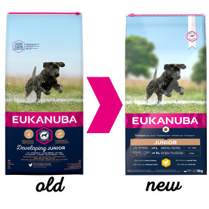 Eukanuba Developing Junior Large Breed au poulet au Chien