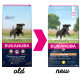 Eukanuba Developing Junior Large Breed au poulet au Chien