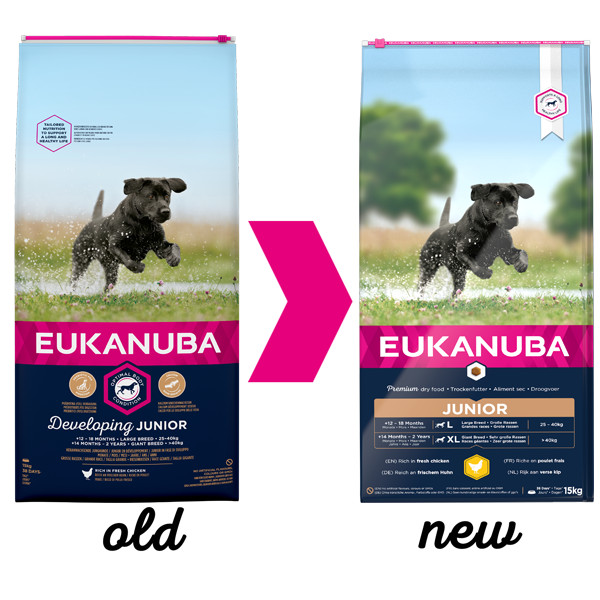 Eukanuba Developing Junior Large Breed au poulet au Chien