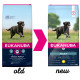Eukanuba Active Adult Large Breed au poulet pour Chien