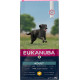 Eukanuba Active Adult Large Breed au poulet pour Chien