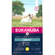 Eukanuba Adult Small Breed poulet pour chien