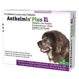 Anthelmin Plus XL voor honden