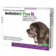 Anthelmin Plus XL pour chien