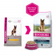 Eukanuba Breed Specific Berger Allemand pour chien