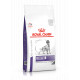 Royal Canin Expert Dental Medium & Large Dogs pour chien