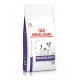 Royal Canin Veterinary Neutered Adult Small Dogs pour chien
