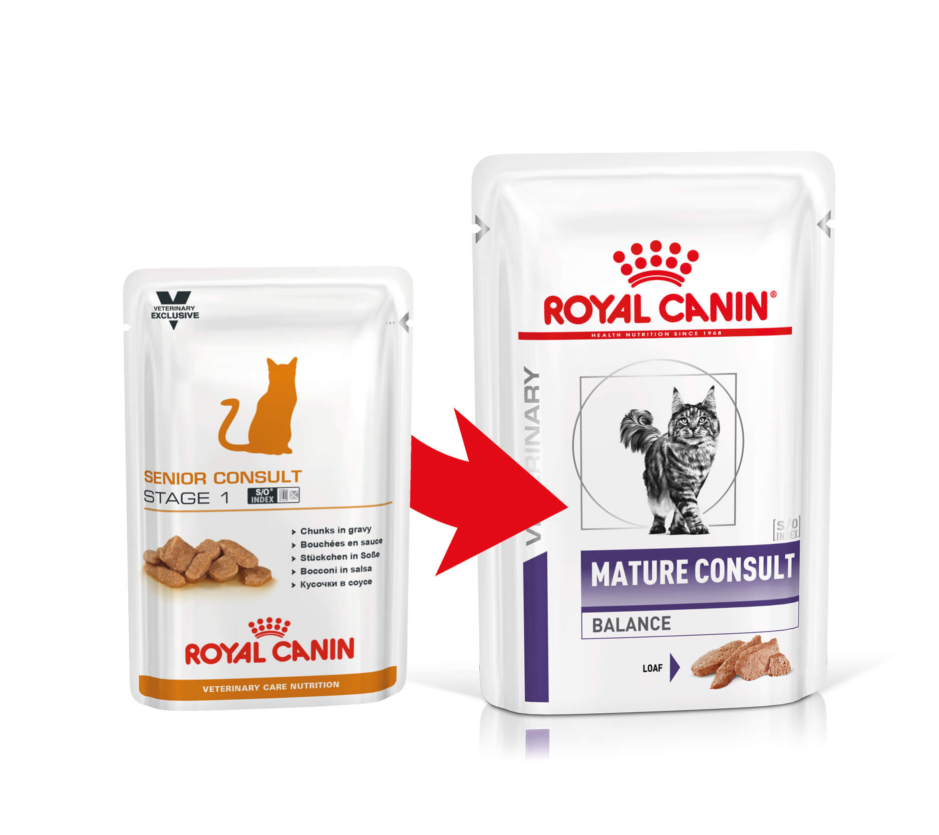 Royal Canin Veterinary Mature Consult Balance Loaf pâtée pour chat (85 gr)