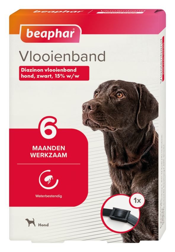 Beaphar Collier anti-puces pour chien