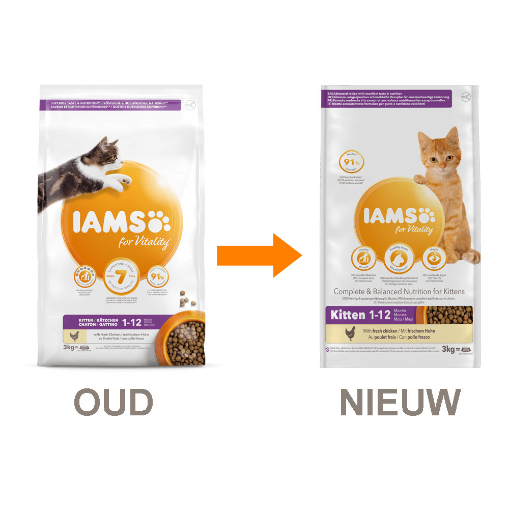 iams kitten & junior