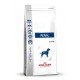 Royal Canin Renal Dog