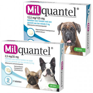 Milquantel tabletten voor de hond