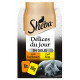 Sheba Délices du Jour à la volaille en gelée pour chat (6 x 50 g)