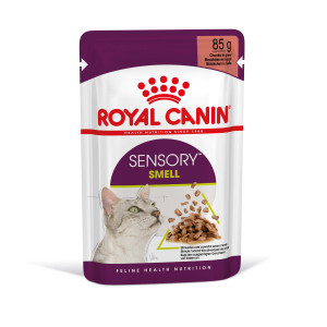 Royal Canin Sensory Smell pâtée pour chat 4 boîtes (48 x 85 g)