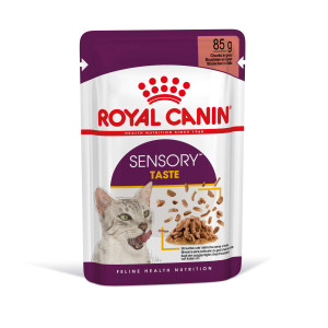 Royal Canin Sensory Taste pâtée pour chat 1 boîte (12 x 85 g)