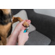 Coupe-Ongles pour chien - Small -