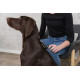 Brosse Toilettage pour chien et chat - Large -