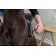 Brosse Toilettage pour chien et chat - Large -