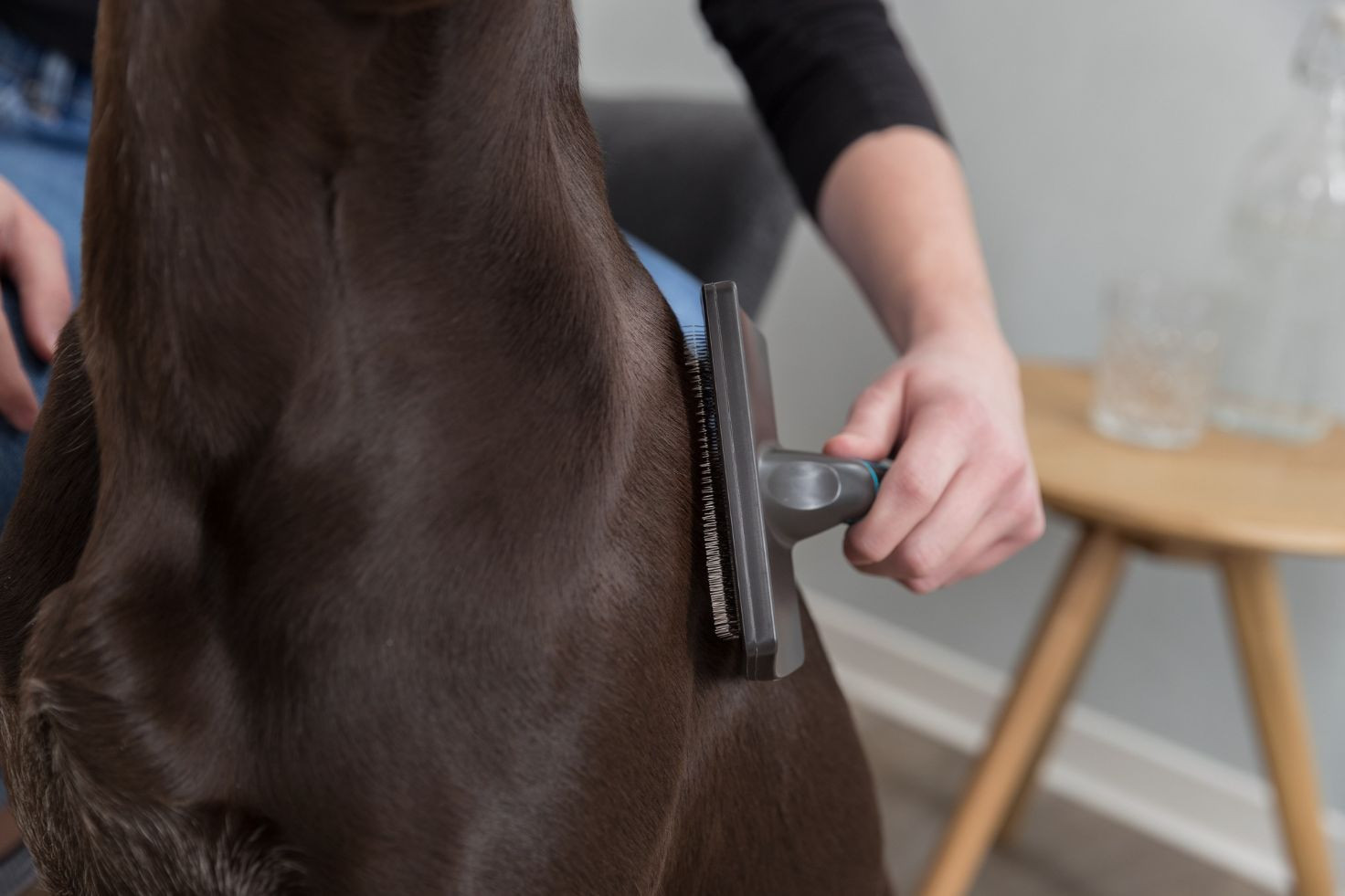 Brosse Toilettage pour chien et chat - Large -