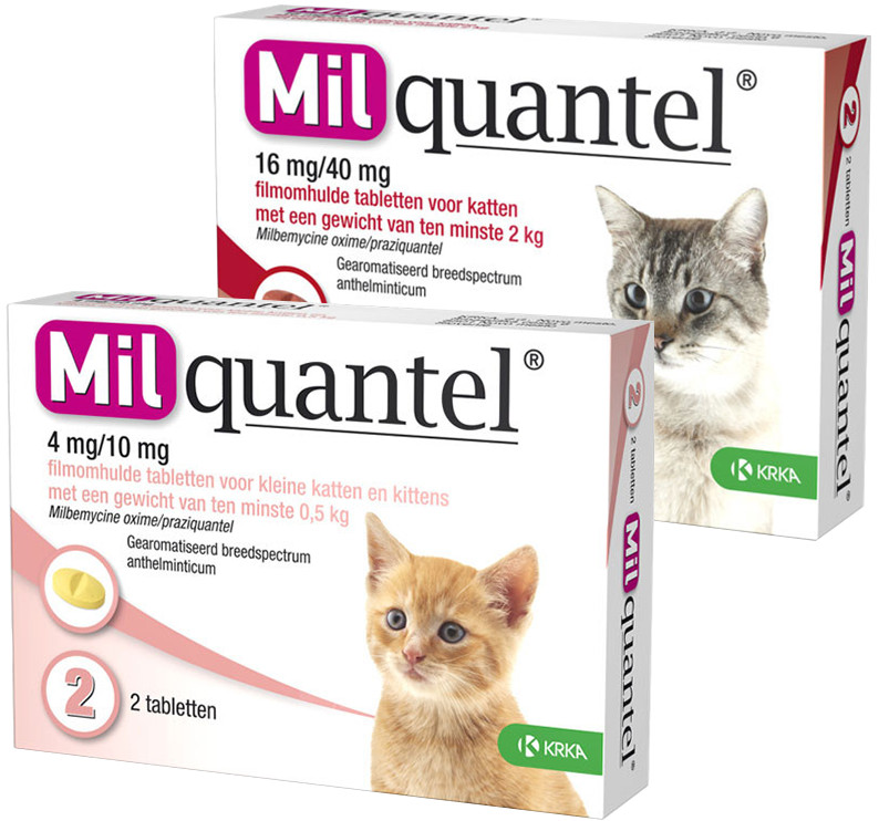 Milquantel Vermifuge Pour Chat