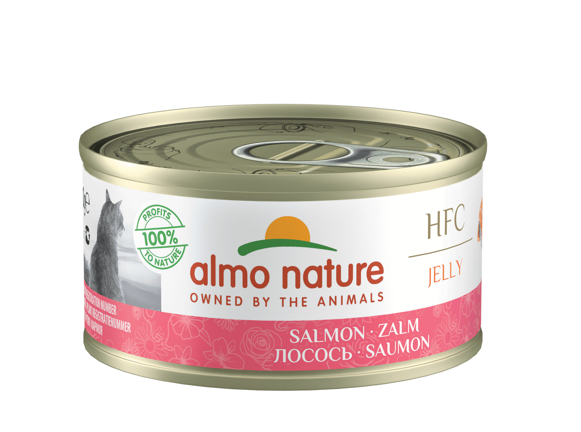 Almo Nature HFC Jelly Saumon pour chat