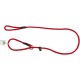 Laisse en nylon de 150 cm pour chien