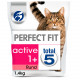 Perfect Fit Active 1+  au bœuf pour chat