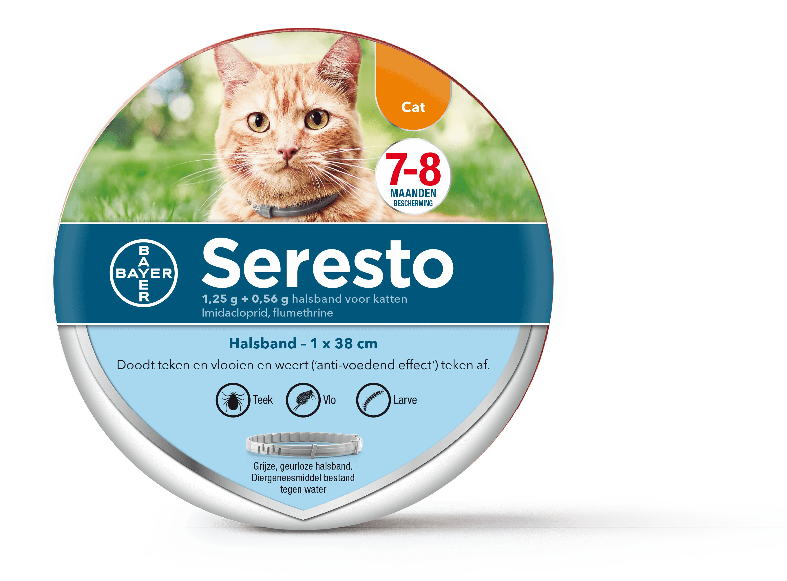 Seresto collier antiparasitaire pour chat
