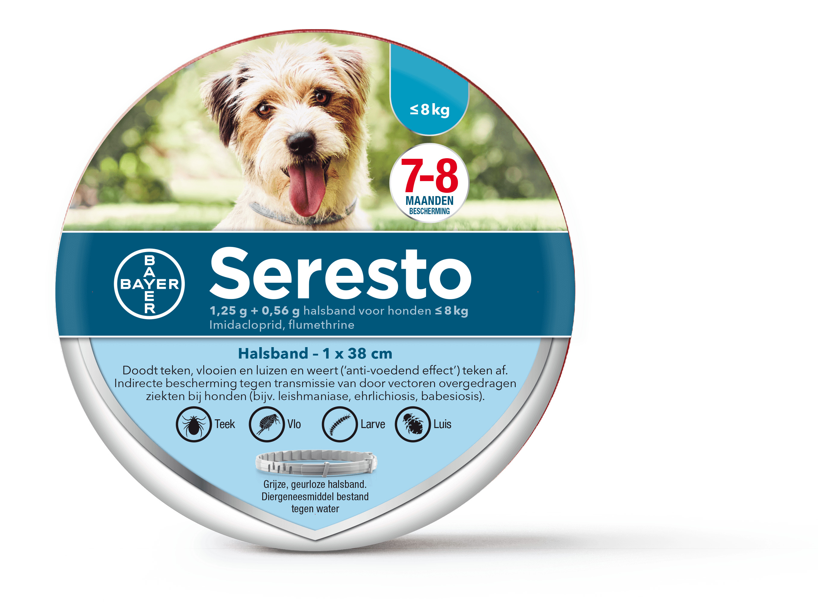 Image de 6 paquets Seresto collier antiparasitaire pour petit chien (jusqu'à 8 kg)